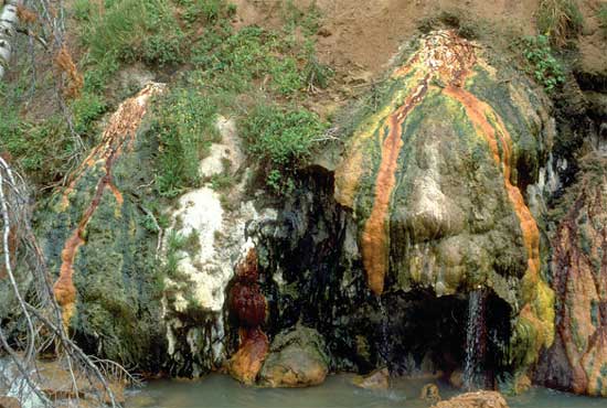 photograph of algal and bacterial mats near hot springs at Lassen Volcanic National Park