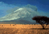 Oldoinyo erupts gif
